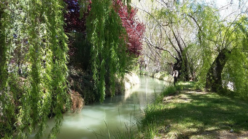 El Colibri Cabanas De La Naturaleza Трелев Екстериор снимка